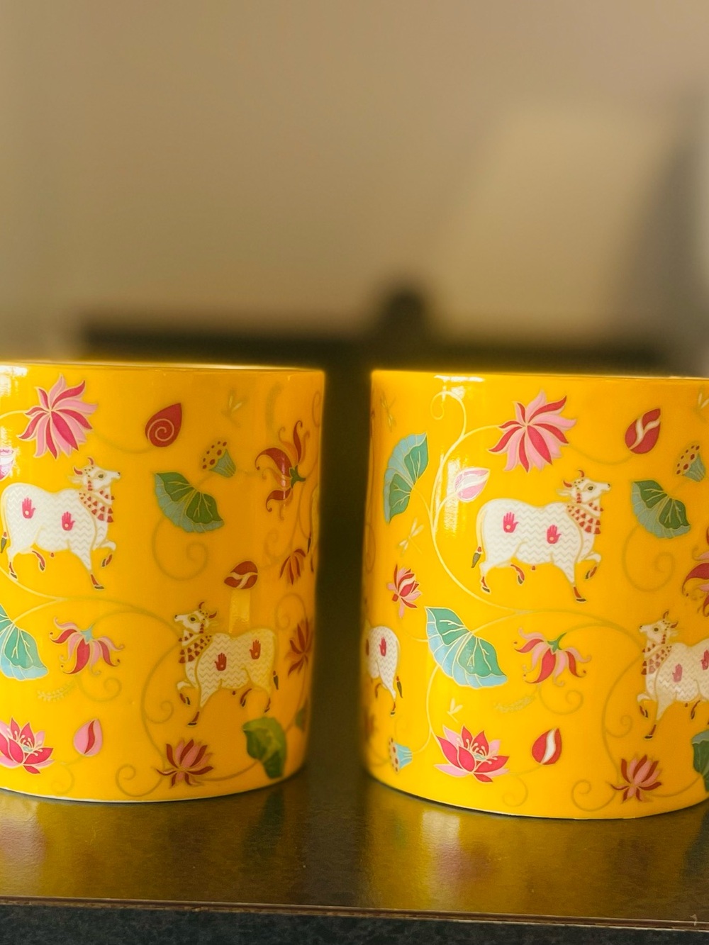 Kainaat Indian designer Mugs